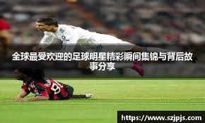 澳门博彩业2025年大众市场收入占比首次超过60%