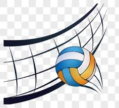 为什么本垒板后方的挡网设计必须兼顾安全性与球迷的观赛视野